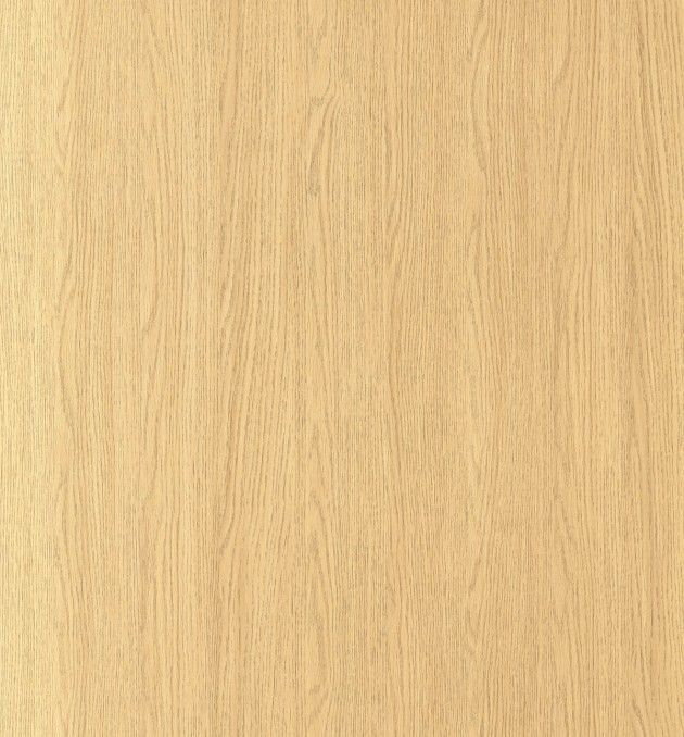 5404  YELLOW OAK